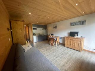 Aravis Locations - Le Grand-Bornand - 5