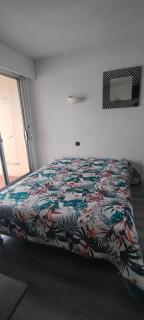 Studio Cap d'Agde la grande voile - 1