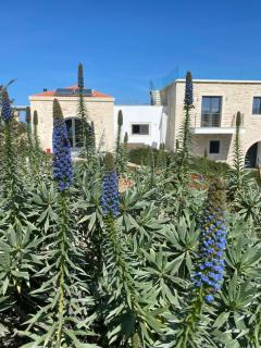 Villa Annie Crete - Private Luxury Villa with Sea and Mountain Views - 8