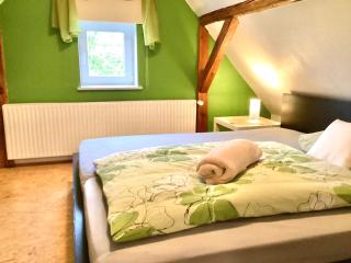 Haasen Ferienwohnung - Hohnhorst - 1