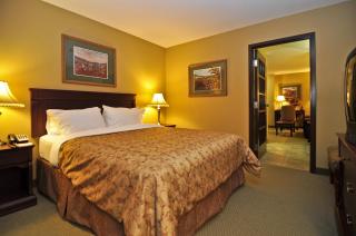 Best Western Plus Grand-Sault Hotel & Suites - 8