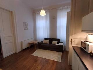 New 2BR Apt near Andrassy av. and Varosliget - 6