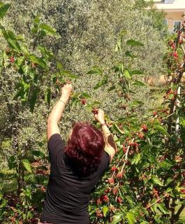 Gizli bir Cennet (A Hidden Paradise) - 2