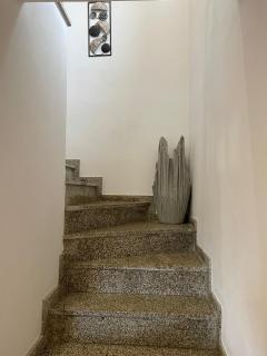 Quinta da Recochina - Castro Daire - 9