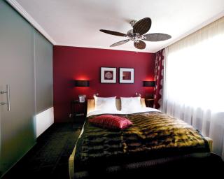 Hotel-Restaurant Schwanen - 8