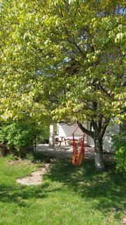 Casia House - Valea Lupului - 9