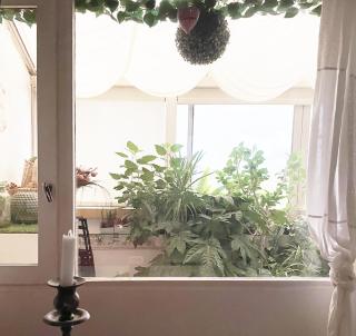 Appartement verdoyant - Noisy-le-Grand - 4