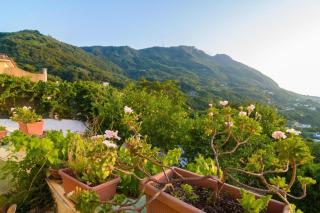 B&B Giardini di Iside e Osiride - Ischia - 8