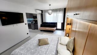 Panoramic penthouse in the heart of Iasi - Iaşi - 4