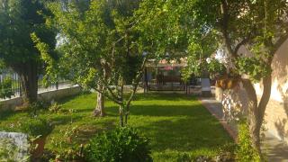 Green house - Nea Plagia - 6
