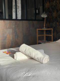 Kazeths Chambre chez l'habitant - Toulouse - 5