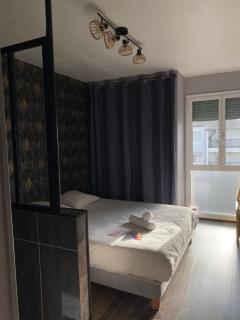 Kazeths Chambre chez l'habitant - Toulouse - 8