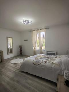 Bel appartement bord du Rhône - 6