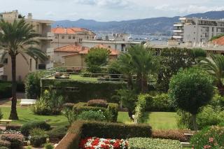 Croisette and beaches. View on gardens and sea. - Cannes - 9