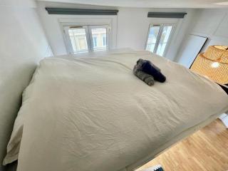 Fleurette - 311 - Rouen - 7