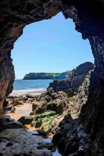 Cottage in the Countryside with Sauna & Cold Tub Near New Quay West Wales - Llandysul - 2