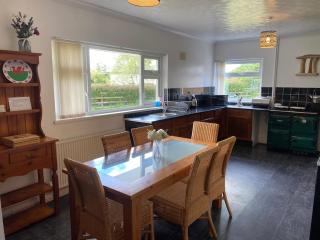 Cottage in the Countryside Near New Quay West Wales - Llandysul - 3