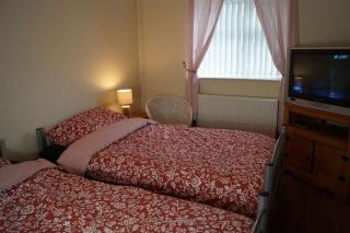 Cottage in the Countryside Near New Quay West Wales - Llandysul - 5