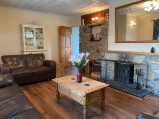 Cottage in the Countryside Near New Quay West Wales - Llandysul - 8