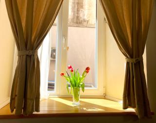 Sun Studio in Old Town Center - Quiet & Cozy - Braşov - 9
