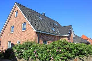 Aplysia - Fehmarn - 0