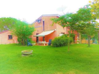 Maison Standing 260M2 Véranda Piscine Jardin 2700M2 Vue campagne - Lherm - 1