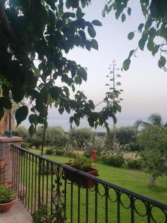 Agriturismo Parco degli Ulivi - Gizzeria - 9