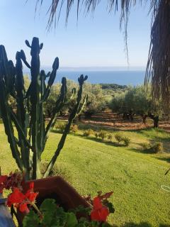 Agriturismo Parco degli Ulivi - Gizzeria - 7