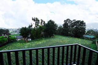 Nelma's Cosy - Nuwara Eliya - 8