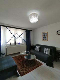 Good Times Apartment - Sarajevo - 8