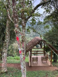 Meu Limão Meu Limoeiro - Visconde De Mauá - 2
