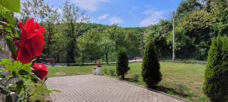 Casa Patryk - Orşova - 5