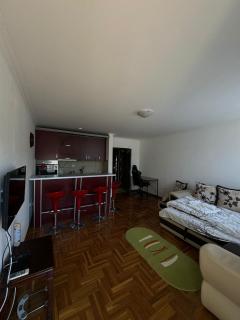 Aleksandrovic Apartman - Vrnjačka Banja - 5