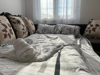 Aleksandrovic Apartman - 1