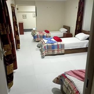 Hostel FORREST - Kutaisi - 3