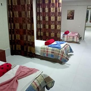Hostel FORREST - Kutaisi - 1