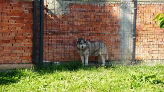 Nomad - Valjevo - 6