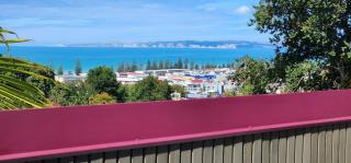 MnM's BnB - Napier - 5