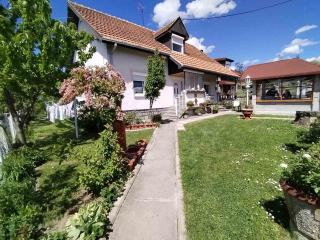Vila Zvezdane večeri - Rudnik - 3