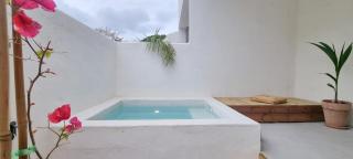 xenónas appartement avec petite piscine privée - 4