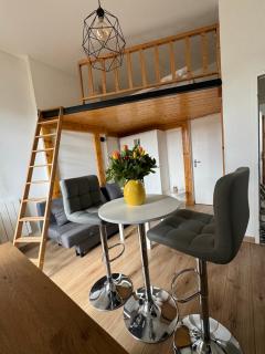 Studio Tassin centre - Tassin-la-Demi-Lune - 9