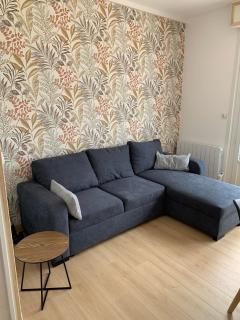 Le Solemare Appartement T3 Face Mer Cayeux sur Mer - Cayeux-sur-Mer - 0