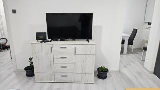 Apartman Pavlovic 2 - Dušanovac (historical) - 6