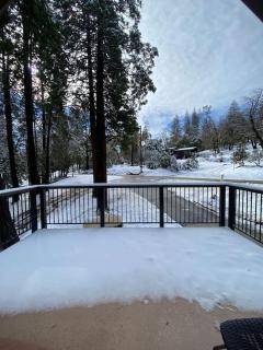 Knotty Pines Lodge - 1