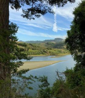 Sonoma Coast River Retreat for 6 Whole House - Jenner - 9