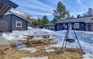 Pet Friendly Home In Bjorli - Bjorli - 9