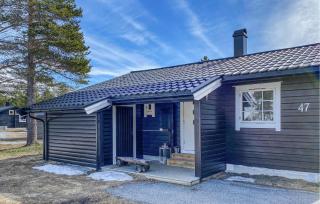 Pet Friendly Home In Bjorli - Bjorli - 4