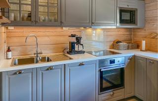 Pet Friendly Home In Bjorli - Bjorli - 3