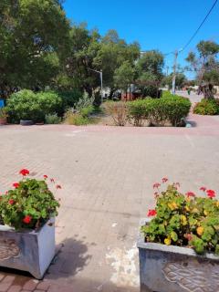 Imi Ouaddar Apartment just Steps from the Beach - 6