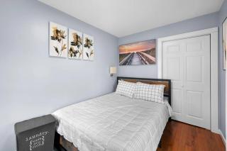 3 Bedroom Apartment on Forestville Bristol - Bristol - 8